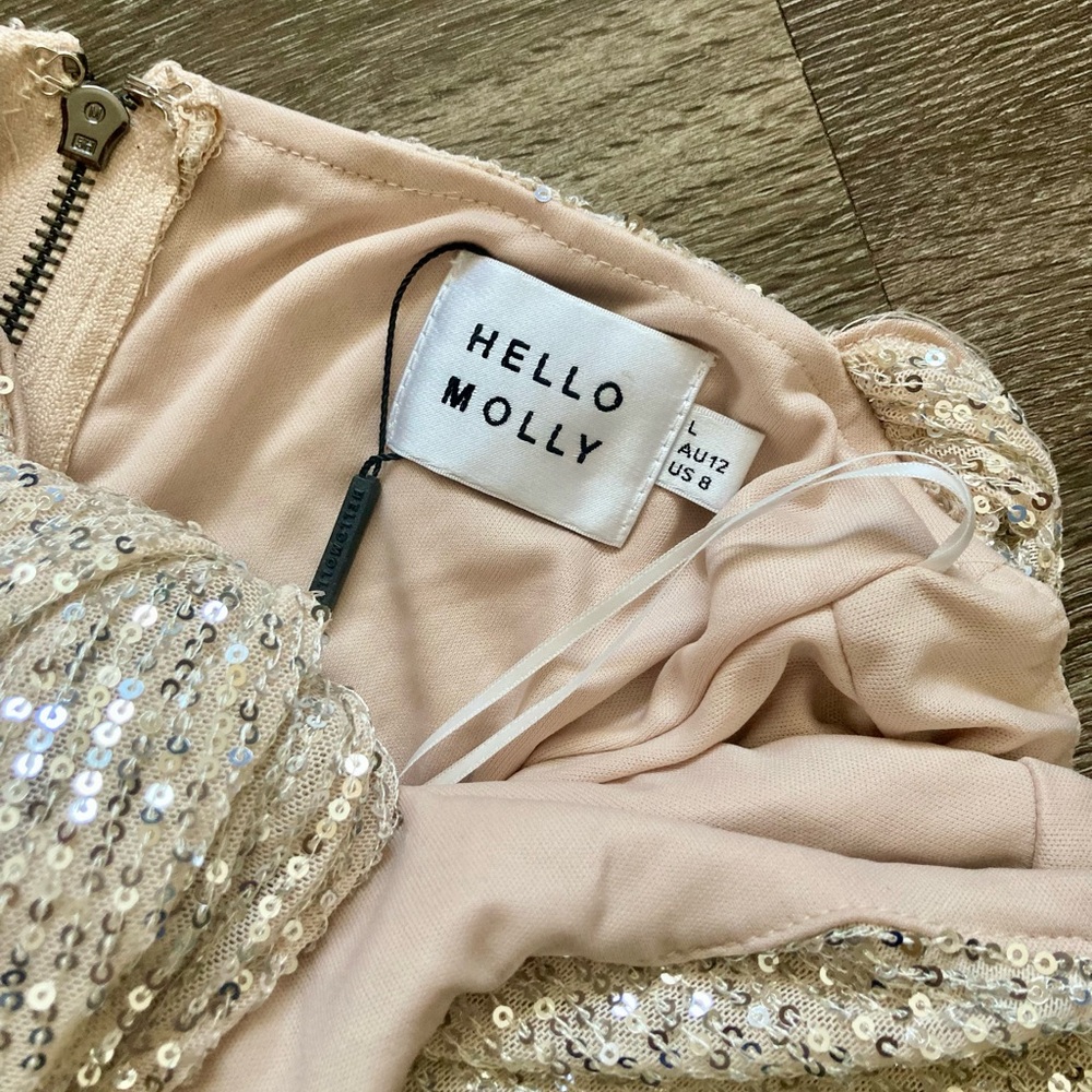NWT Hello Molly “Frequent the Club” beige sequin mini dress in size large - Picture 5 of 6